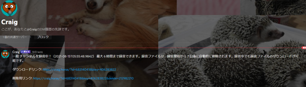 Discord 録音bot Craig の導入と使い方まとめ はりぼう記