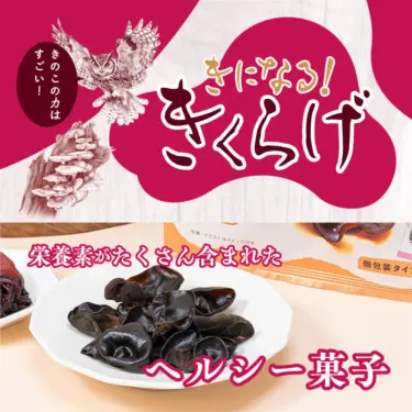 きになるきくらげはどこで売ってる？スーパー・ドラッグストア・通販の販売店まとめ